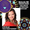 Making Work the Law of Attraction with SRT - Tracy Montgomery