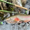 S4, Ep 10: Tip of the Mitt Fishing Report with True North Trout