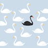The Black Swan: Why future predictions is impropable and what can we do?