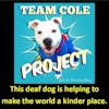 How a Deaf Dog has Become an Inspiration for Young and Old: The Team Cole Project