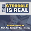 These 9 Employee Perks Are Basically Free Money | E115