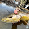 S6, Ep 6: Central Pennsylvania Fishing Report with TCO Fly Shop