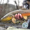 S2, Ep 166: Central PA Fishing Report with TCO Fly Shop