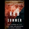 RED SUMMER: Turbulence in 1919