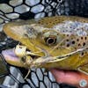 S4, Ep 149: East TN Fishing Report with Ellis Ward