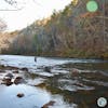 S4, Ep 128: Central VA Fishing Report with TaleTellers Fly Shop