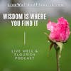 Finding Wisdom: Developing a Wisdom Mindset
