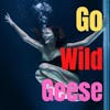 Go Wild Geese