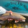 S4, Ep 105: Ugly Bug Fishing Report with Dustin White