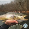 S2, Ep 156: Central PA Fishing Report with TCO Fly Shop