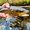 S5, Ep 121: Central Pennsylvania Fishing Report with TCO Fly Shop