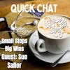 Episode 265: Quick Chat - Small Steps Big Wins with Sue Saller