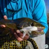 S4, Ep 138: Southwest VA Fishing Report with Matt Reilly