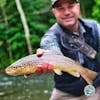 S3, Ep 96: Tim Cammisa of Trout and Feather