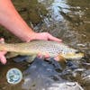 S2, Ep 110: Central PA Fishing Report with TCO Fly Shop