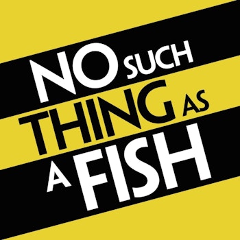 No Such Thing As A Fish - Reviewed