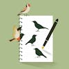 Bird by Bird: Joys and Struggles of Writing