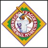 Negro Leagues Baseball: Understanding the Story, Importance, & Immeasurable Value