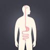 Gut: The Inside Story of Our Body's Organ