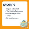 Wonder World Podcast Week of April 24