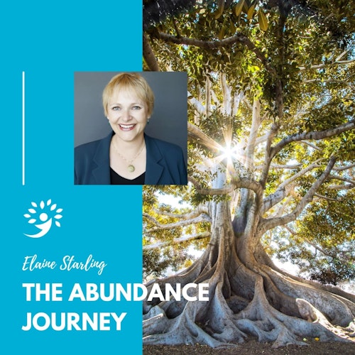 The Abundance Journey