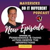 Perseverance & Taking Action Despite The Imperfections | MDIDS2E40