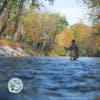 S2, Ep 136: Central VA Fishing Report with TaleTellers Fly Shop