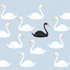 The Black Swan: Unveiling the Unpredictable Nature of Life