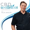 The 4 Pillars of Holistic Health with Dr. Robert Ciprian