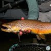 S5, Ep 130: East Tennessee Fishing Report with Ellis Ward