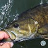 S4, Ep 95: Southwest VA Fishing Report with Matt Reilly