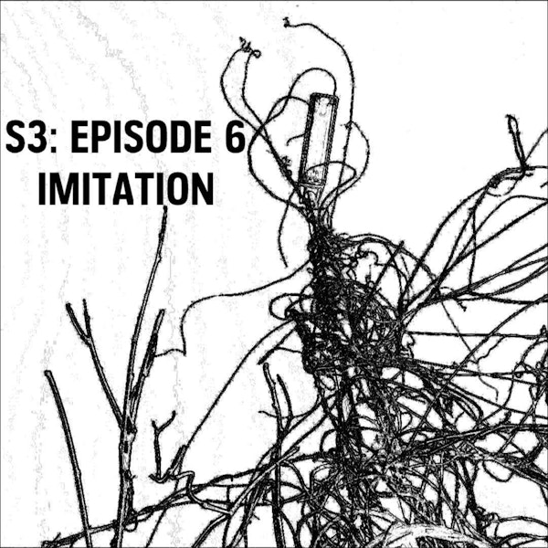 S3: E06 - Imitation
