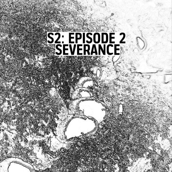 S2: E02 - Severance