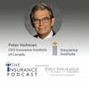 Peter Hohman CEO Insurance Institute of Canada