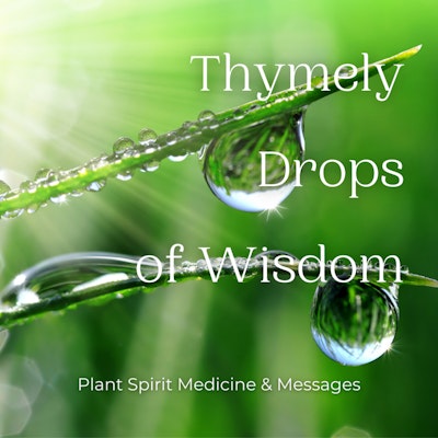 Thymely Drops of Wisdom: Plant Spirit Medicine and Messages