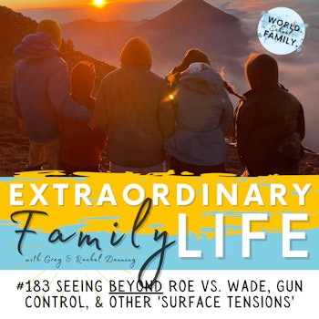 #183 Seeing BEYOND Roe Vs. Wade, Gun Control, & Other 'Surface Tensions'