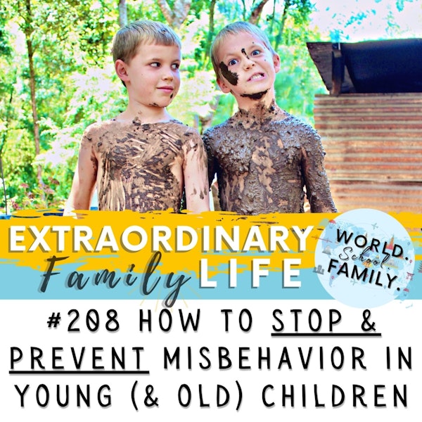 #208 How to Respond to, Stop, & Prevent Misbehavior in Young (& Old) Children -- Strategies that WORK!