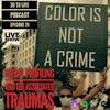 Ep 21: Racial Profiling And The Associated Traumas - Live Show
