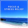 #2 FOCUS & STRESS RELIEF - 15 MINUTE IMMERSIVE GUIDED MEDITATION 🙏