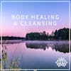 #3 BODY HEALING & CLEANSING - 15 MINUTE IMMERSIVE GUIDED MEDITATION 🙏