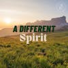 A Different Spirit (LIVE SERVICE)