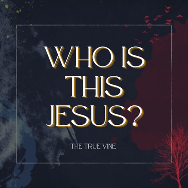 Who is this Jesus: I am the True Vine