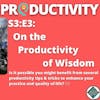 S3:E3: On the Productivity of Wisdom | #TeachBetter | Wisdom & Productivity