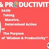 S4:E9: Taking Massive, Determined Action or The Purpose of 'Wisdom & Productivity'