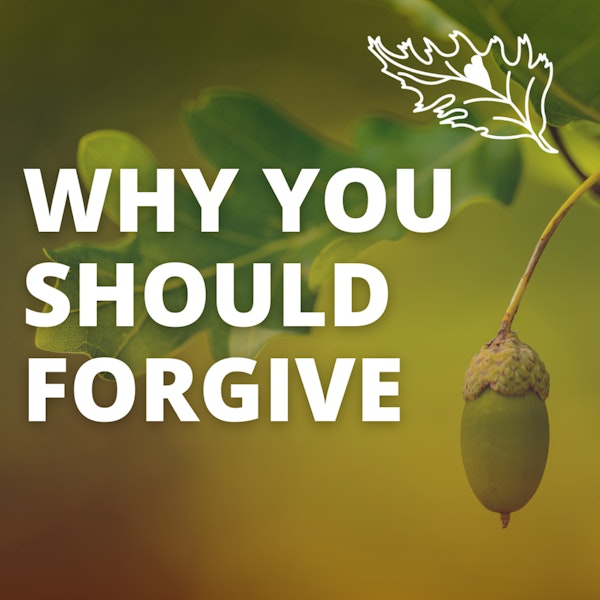 Why You Should Walk the Path of Forgiveness with Rev. Dr. Michelle Medrano