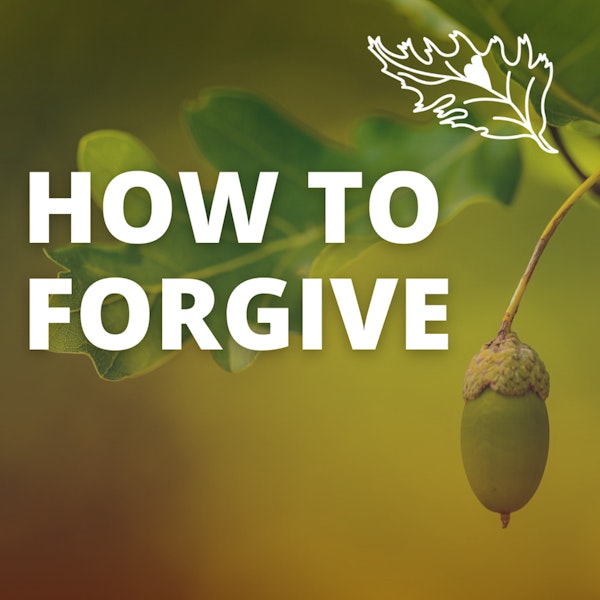 How to Walk the Path of Forgiveness with Rev. Dr. Michelle Medrano