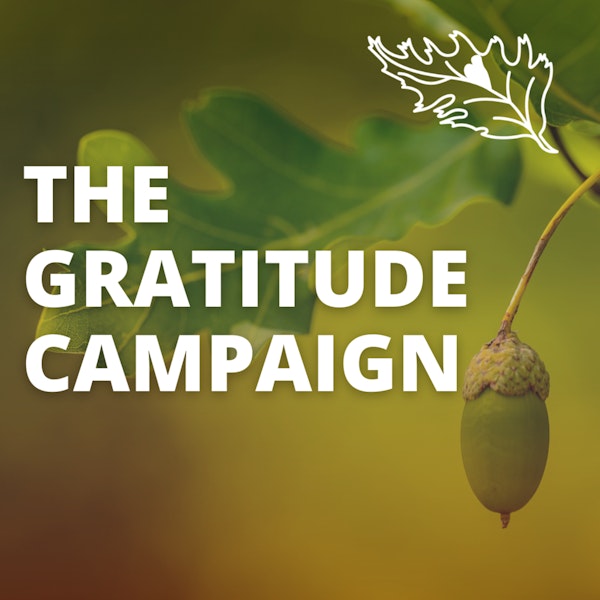 The Gratitude Campaign