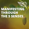 Creating Your Best Life with the 5 Senses, with Andrea Bazoin