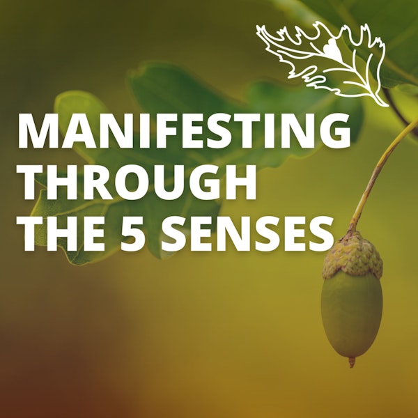 Creating Your Best Life with the 5 Senses, with Andrea Bazoin