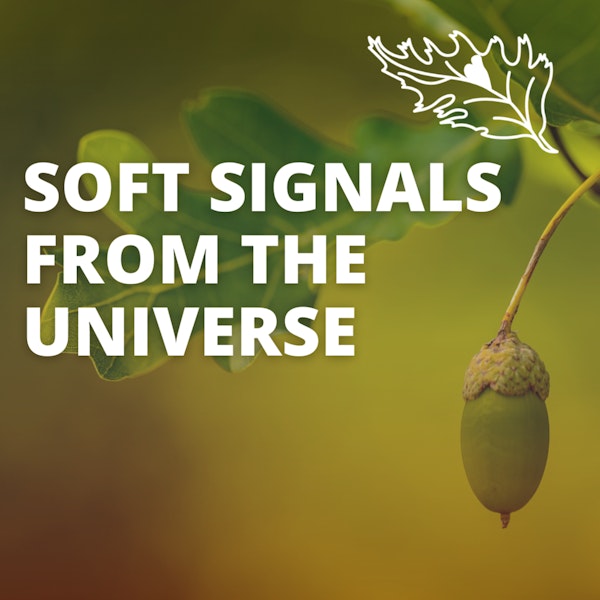 Soft Signals From the Universe: Finding a Higher Calling with Andrea Hall